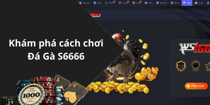 Khám phá cách chơi Đá Gà S6666