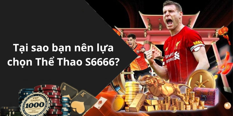 Tại sao bạn nên lựa chọn Thể Thao S6666