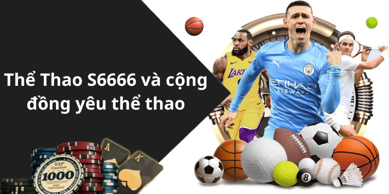 Thể Thao S6666 và cộng đồng yêu thể thao