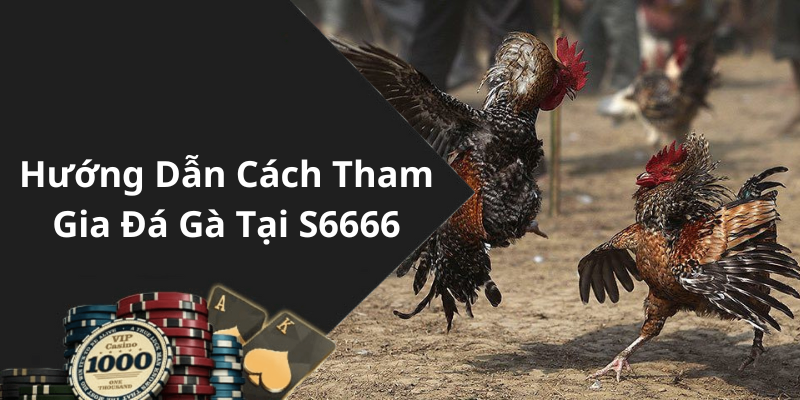 Hướng Dẫn Cách Tham Gia Đá Gà Tại S6666