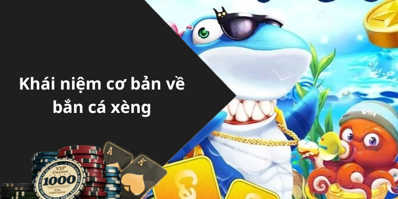 Khái niệm cơ bản về bắn cá xèng