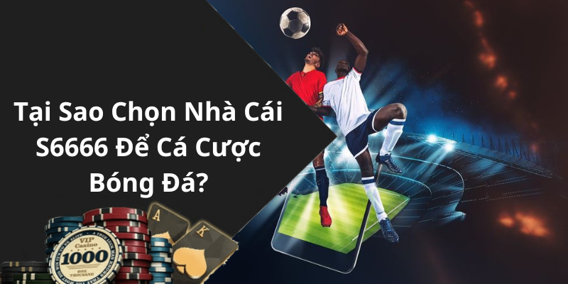 Tại Sao Chọn Nhà Cái S6666 Để Cá Cược Bóng Đá