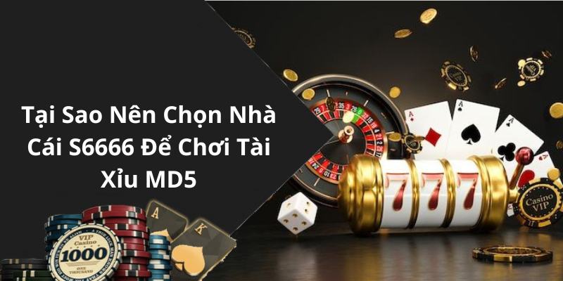 Tại Sao Nên Chọn Nhà Cái S6666 Để Chơi Tài Xỉu MD5