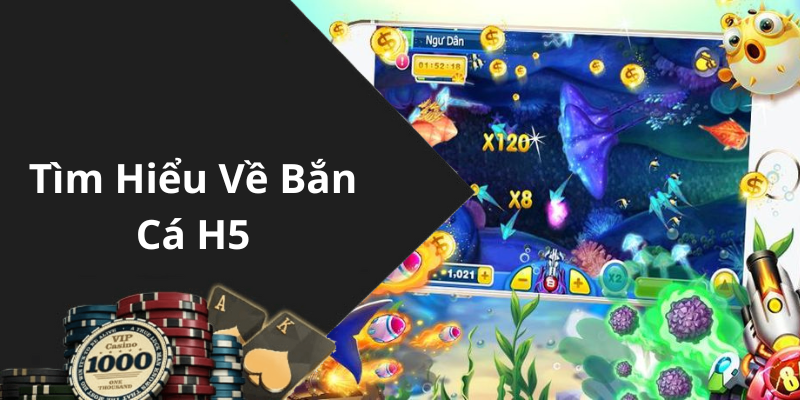 Tìm Hiểu Về Bắn Cá H5