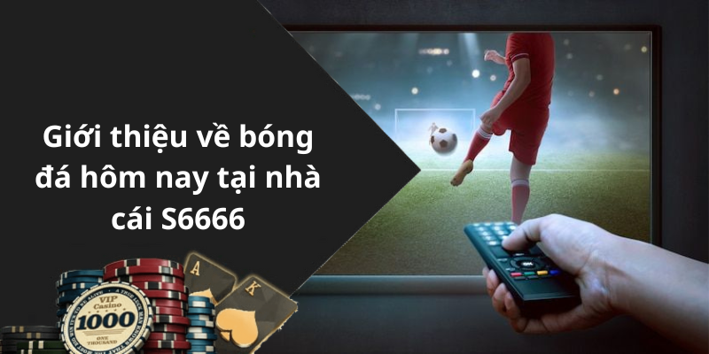 Giới thiệu về bóng đá hôm nay tại nhà cái S6666