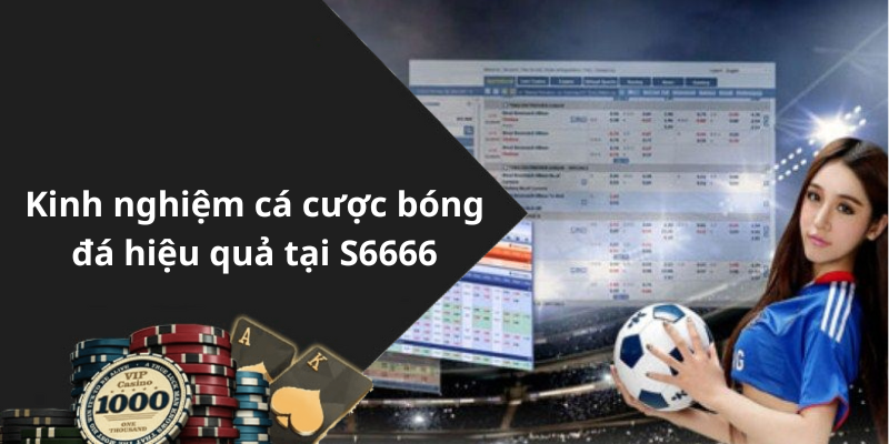 Kinh nghiệm cá cược bóng đá hiệu quả tại S6666