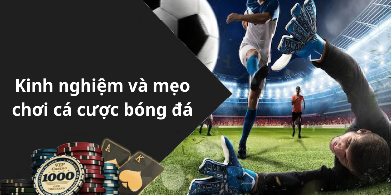 Kinh nghiệm và mẹo chơi cá cược bóng đá