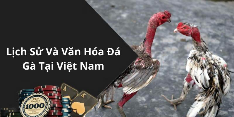 Lịch Sử Và Văn Hóa Đá Gà Tại Việt Nam