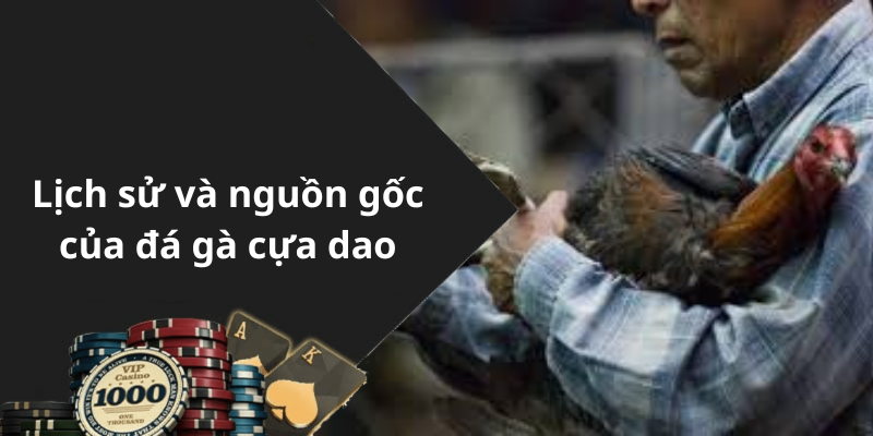 Lịch sử và nguồn gốc của đá gà cựa dao