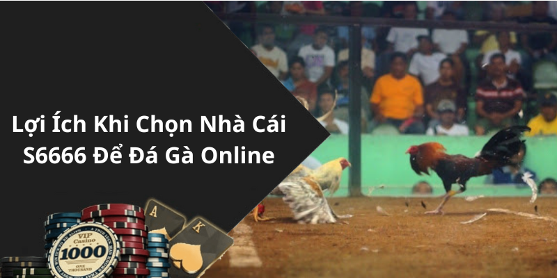 Lợi Ích Khi Chọn Nhà Cái S6666 Để Đá Gà Online
