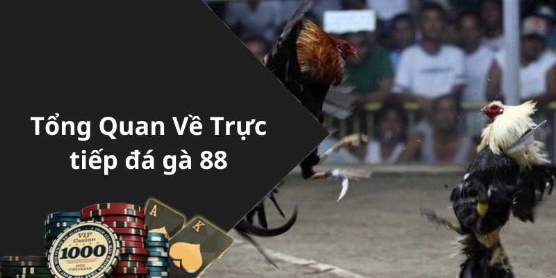 Tổng Quan Về Trực tiếp đá gà 88