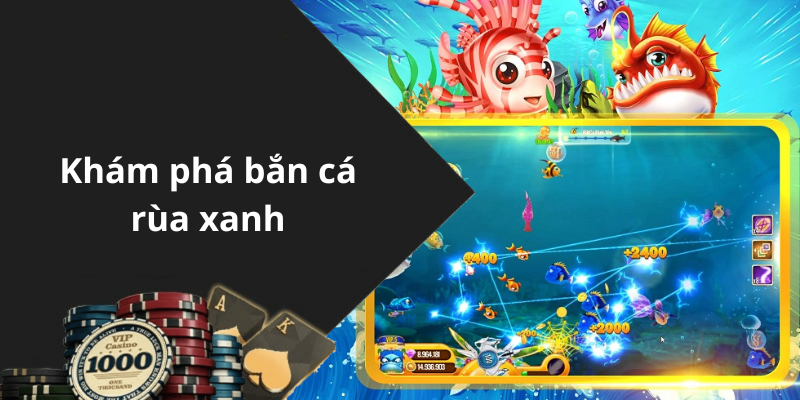 Khám phá bắn cá rùa xanh