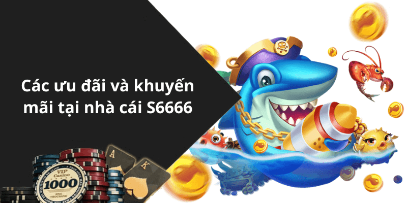 Các ưu đãi và khuyến mãi tại nhà cái S6666