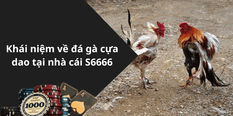Khái niệm về đá gà cựa dao tại nhà cái S6666