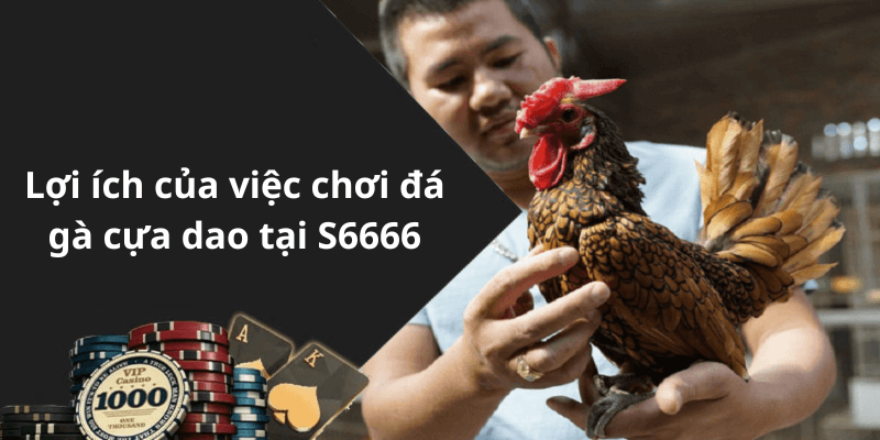 Lợi ích của việc chơi đá gà cựa dao tại S6666