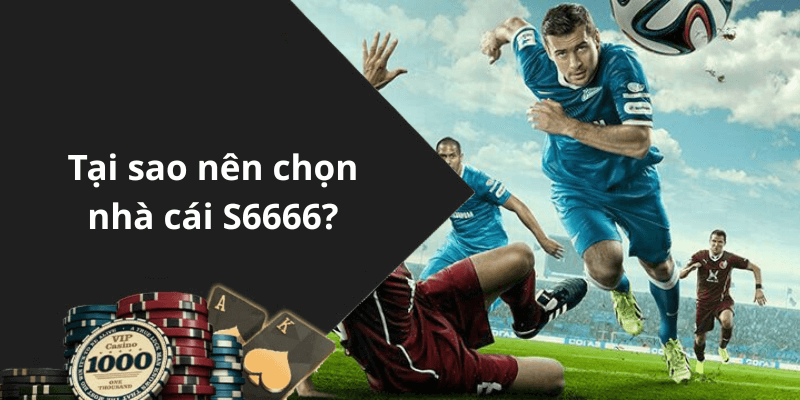 Tại sao nên chọn nhà cái S6666